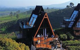 Nimo Tea Resort